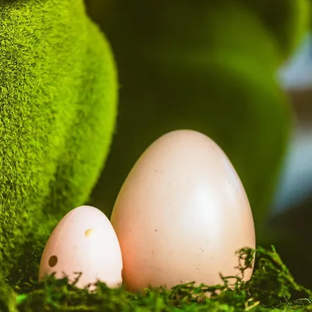 Hidden Bank: Golden Daire Filibe